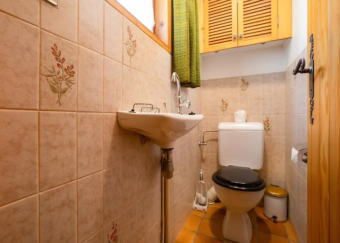 Les Soldanelles Happy * 샤모니